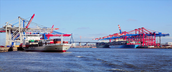 西班牙海鮮進口報關(guān)