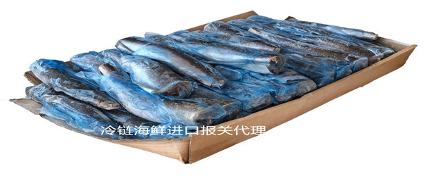 進(jìn)口報關(guān)代理