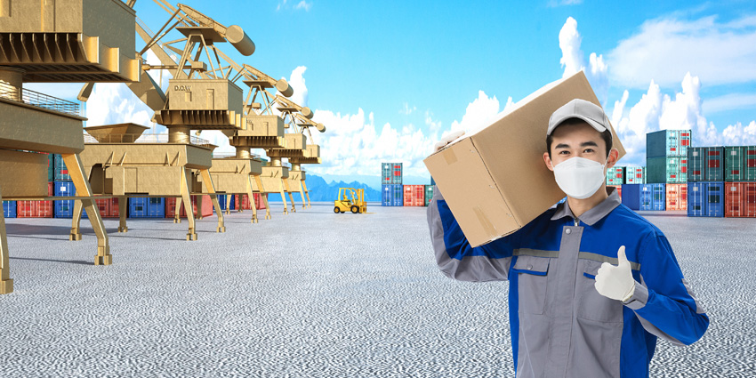 寧波洛神花進口報關價格 寧波洛神花進口報關價格