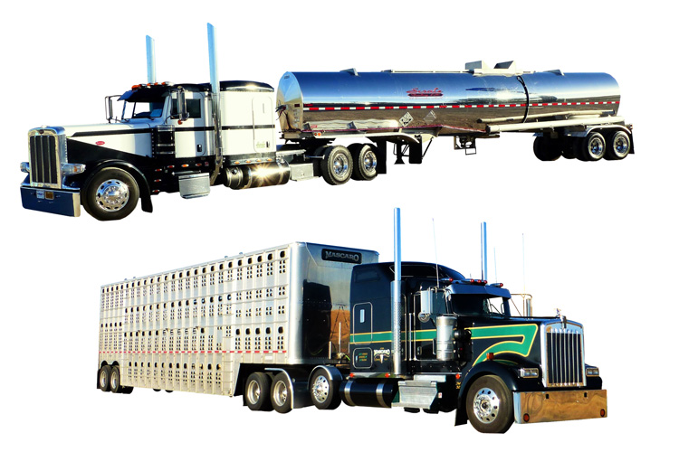 樣品汽車的報關(guān)進(jìn)口