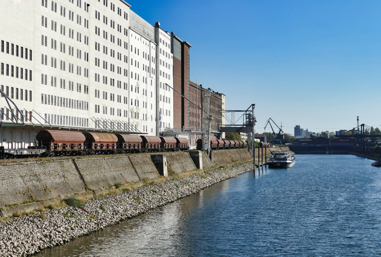 寧波脂流茶進口報關價格