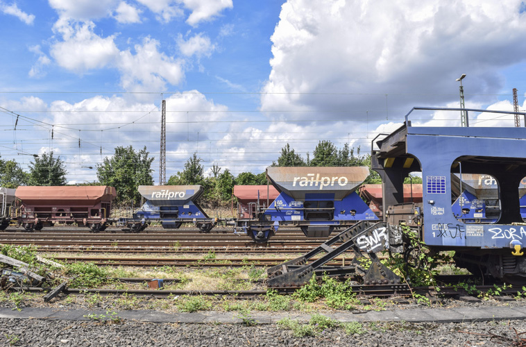 一般貿易進出口權證 一般貿易進出口權證