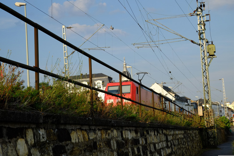 進出口免費是一般貿易嗎 進出口免費是一般貿易嗎