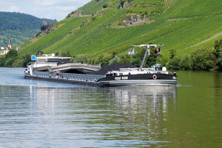 一般貿易進出口備案 一般貿易進出口備案